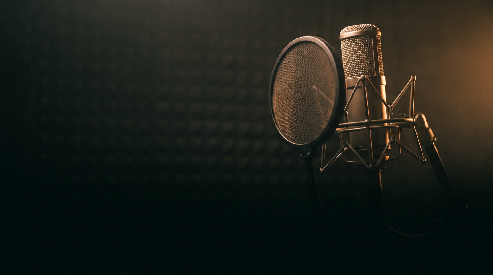 A large diaphragm condenser microphone in a spider shock mount behind a pop filter, against studio acoustic foam